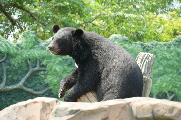 Tout savoir sur la rénovation d'ampleur : transformer un logement en profondeur